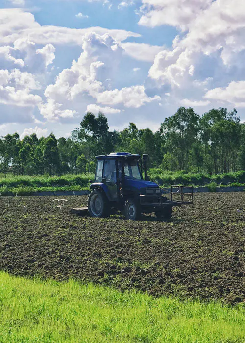 Culture des terres agricoles